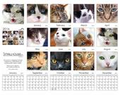 Cat Calendar Kit PDF - 1:...